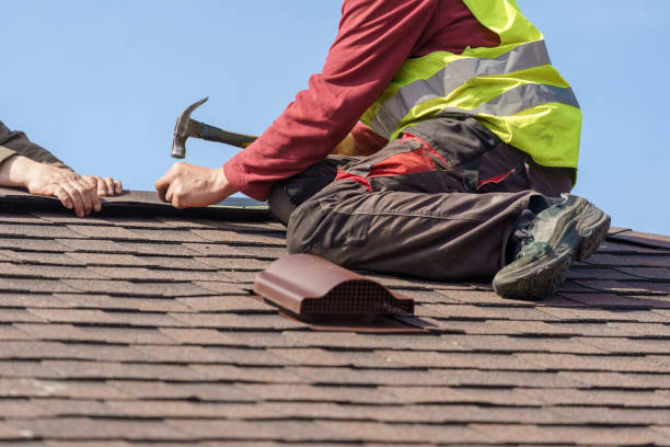 Best Storm Damage Roof Repair  in , IL