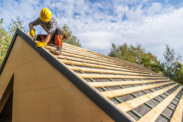 Best Metal Roofing Contractor  in , IL